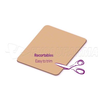 LÁMINAS AUTOADHERENTES PARA ZONAS SENSIBLES LÁMINAS AUTOADHERENTES PARA ZONAS SENSIBLES