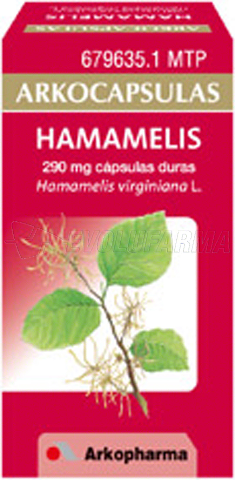 ARKOCAPSULAS HAMAMELIS 290 mg CAPSULAS DURAS, 48 cápsulas ARKOCAPSULAS HAMAMELIS 290 mg CAPSULAS DURAS, 48 cápsulas