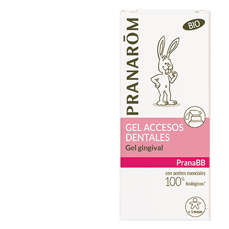PRANAROM GEL ACCESO DENTAL PRANAROM GEL ACCESO DENTAL
