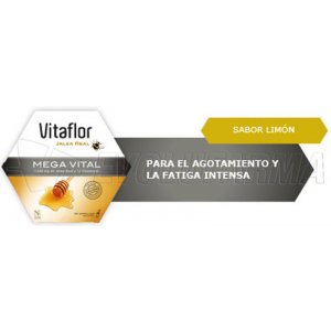 VITAFLOR JALEA REAL MEGA VITAL AMPOLLA BEBIBLE 200 ML. 20 Ampollas VITAFLOR JALEA REAL MEGA VITAL AMPOLLA BEBIBLE 200 ML. 20 Ampollas